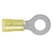 PN10-8RX-L Terminals
