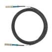 PSF1PXD5.5MBL Ethernet Cables / Networking Cables