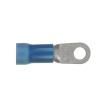 PV6-56R-T Terminals