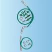 PZCGK Racks & Rack Cabinet Accessories