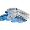 QPPCCWBW10  Wire & Cable