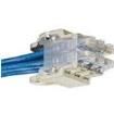 QPPCCWRS10  Wire & Cable