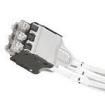 QPPEDGAW2M Ethernet Cables / Networking Cables