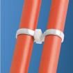 SSB2S-C Cable Ties