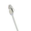 STP28X0.5MOR-Q Ethernet Cables / Networking Cables