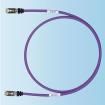 STP6X6MVL Ethernet Cables / Networking Cables