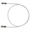 STP6X14IG Ethernet Cables / Networking Cables