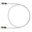 STP6X15IG Ethernet Cables / Networking Cables
