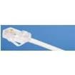 UTP28CH100  Wire & Cable