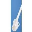 UTP28CH100 Ethernet Cables / Networking Cables