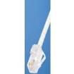 UTP28CH100RD Ethernet Cables / Networking Cables