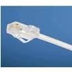 UTP28CH2MGR  Wire & Cable