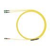 UTP28SP12BU-Q Ethernet Cables / Networking Cables