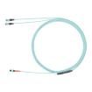 UTP6ASD10MVL Ethernet Cables / Networking Cables