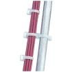 UTP6ASD55VL Ethernet Cables / Networking Cables