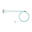UTP6ASDL1.5MOR Ethernet Cables / Networking Cables