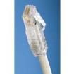 UTP6X7 Ethernet Cables / Networking Cables