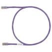 UTPCH2.5MVLY Ethernet Cables / Networking Cables