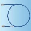UTPCH5BUY Ethernet Cables / Networking Cables