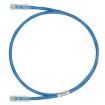 UTPSP1BUY Ethernet Cables / Networking Cables