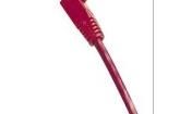 PCD-01013-0C Ethernet Cables / Networking Cables