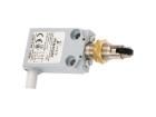 PEM1G25Z Limit Switches