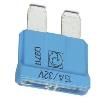 0913731  Circuit Protection