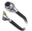 1407507 Ethernet Cables / Networking Cables