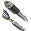 1414892 Sensor Cables / Actuator Cables