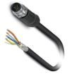 1416035 Ethernet Cables / Networking Cables