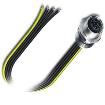 1424137  Wire & Cable