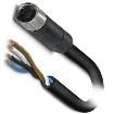 1425074 Sensor Cables / Actuator Cables
