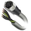 1443501 DC Power Cords
