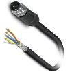 1454202 Ethernet Cables / Networking Cables