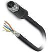 1454215 Ethernet Cables / Networking Cables