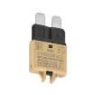 1499941  Circuit Protection