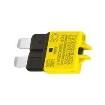 1499944 Circuit Breakers