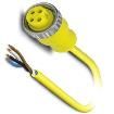 1532043 Sensor Cables / Actuator Cables