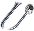 1554717  Wire & Cable