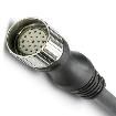 1684069 Sensor Cables / Actuator Cables