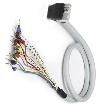 2900151 Ribbon Cables / IDC Cables