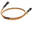 2901802  Wire & Cable
