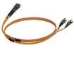 2901822  Wire & Cable