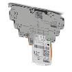 2906784  Circuit Protection
