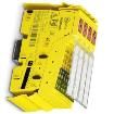 2916493 Safety Controllers