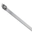 3240827 Cable Ties
