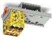 3273546  Electromechanical