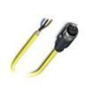 SAC-3P- 2 0-542/ FS SH SCO  Wire & Cable