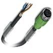 SAC-4P-10 0-PUR/M12FS SH Connectors