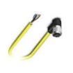SAC-4P- 5 0-542/ FR SCO BK  Wire & Cable